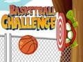 Игра Basketball Challenge 