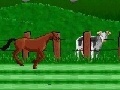 Игра Horse races