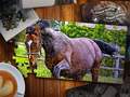 Ігра Jigsaw Puzzle Horses Edition