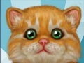 Игра My Sweet Kitten