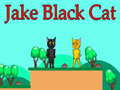 Игра Jake Black Cat