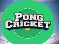 Игра Pong Cricket