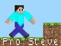 Игра Pro Steve