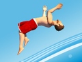 Игра Flip Divers