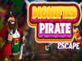 Игра Dignified Pirate Escape