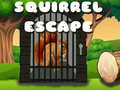 Ігра Squirrel Escape