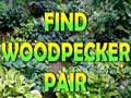 Игра Find Woodpecker Pair 