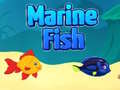 Игра Marine Fish