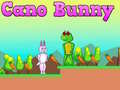 Игра Cano Bunny