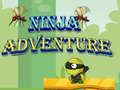 Игра Ninja Adventure