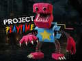 Игра Project Play Time