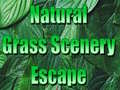Игра Natural Grass Scenery Escape