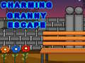 Игра Charming Granny Escape