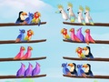 Игра Bird Sort Puzzle