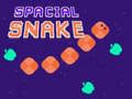 Игра Spacial Snake