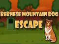 Игра Bernese Mountain Dog Escape