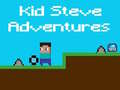 Игра Kid Steve Adventures