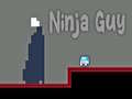 Игра Ninja Guy