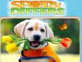 Игра Spot&Differs