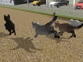 Игра Run Cat Cat Race