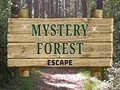 Ігра Mystery Forest