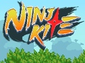Игра Ninja Kite