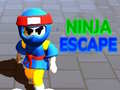Игра Ninja Escape
