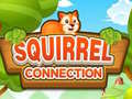 Ігра Squirrel Connection