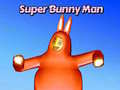 Игра Super Bunny Man