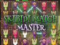 Игра Skibidi Match Master