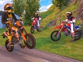 Игра Motocross Driving Simulator