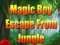 Игра Magic Boy Escape From Jungle