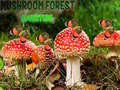 Игра Mushroom Forest Adventure