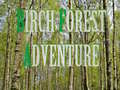 Игра Birch Forest Adventure