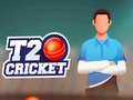 Игра T20 Cricket