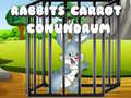 Игра Rabbits Carrot Conundrum