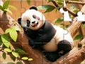 Игра Jigsaw Puzzle: Panda On Tree