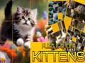 Игра Puzzle Sliding Kittens