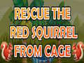 Игра Rescue The Red Squirrel From Cage