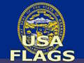 Игра Usa Flags 