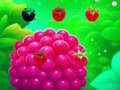 Игра Sweet Raspberry