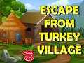 Игра Escape From Turkey Village