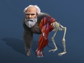 Игра Idle Evolution From Cell To Human