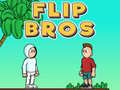 Игра Flip Bros