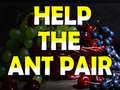Игра Help The Ant Pair