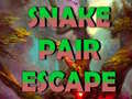 Игра Snake Pair Escape