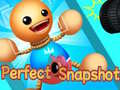 Игра Perfect Snapshot