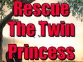 Игра Rescue The Twin Princess