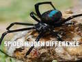 Ігра Spider Hidden Difference