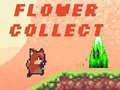 Игра Flower Collect